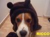 RICCO